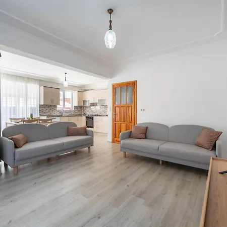 公寓 2 Bedroom Close To Center 费特希耶